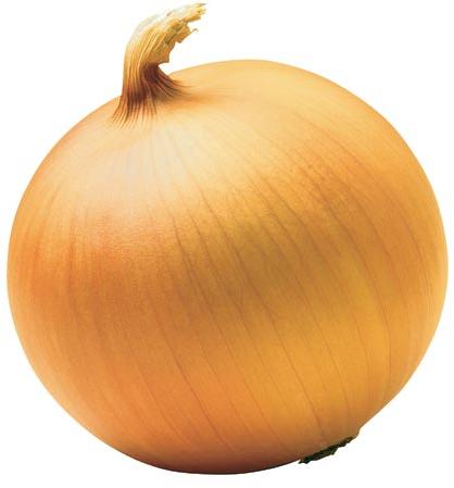 Yellow Onion