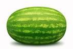 Watermelon, Brand Name : telcam