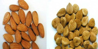 Almond Nuts, Shelf Life : 6 Months