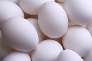 Chicken Eggs