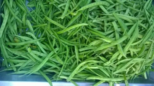 Common Fresh Cluster Beans, Color : Green