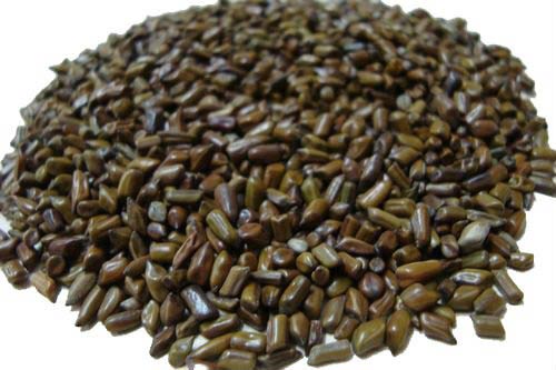 Common 02 Cassia Tora Seeds, For Cosmetic