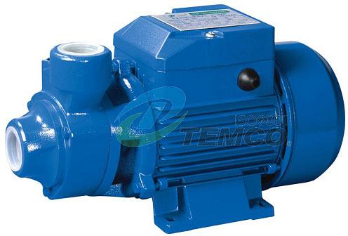 Qb60 Peripheral Pump, Brand Name : TEMCO