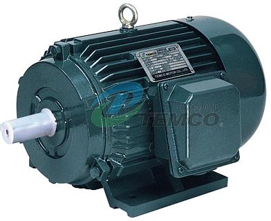 Three Phase Induction Motor, Brand Name : TEMCO