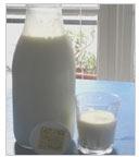 Cow Milk