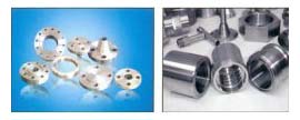 Stainless Steel Forged Flanges