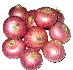 Fresh Onion