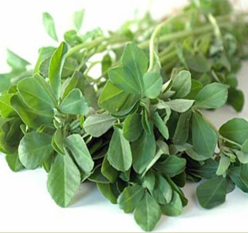 Fenugreek Seed Extract Powder, Grade : medical grade