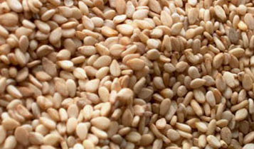 Brown Sesame Seeds, For Agricultural, Making Oil, Style : Dried