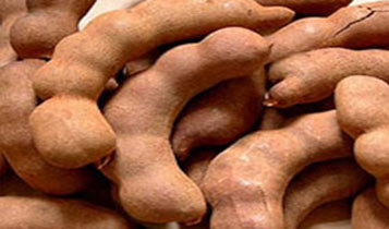 Tamarind Pods, Packaging Type : Plastic Bag, PP Bag