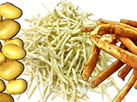 Chlorophytum Species Extract