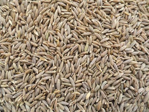 Cumin seeds, Type :Natural