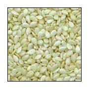 White sesame seeds, Cultivation Type : Organic