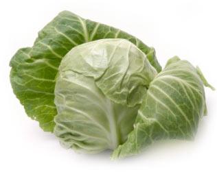 Fresh Cabbage