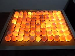 Broiler hatching eggs, Certification : health certificate