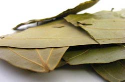 Bay Leaves