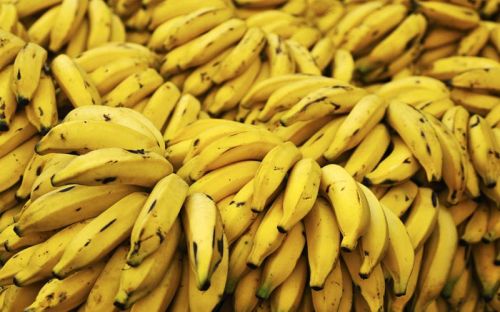 Fresh banana, Storage : Room Temperature Or Refrigerated