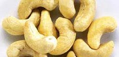 Cashew Nuts