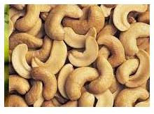 Organic cashew nuts, Brand Name : TDRJG, Certification : ISO