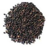 Black Pepper