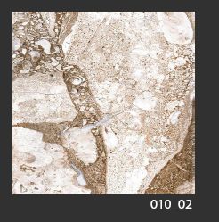 500x500 Mm Digital Glossy Marble Floor Tiles