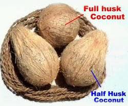 Coconut