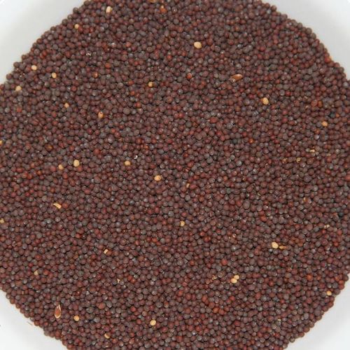 Brown Mustard Seeds