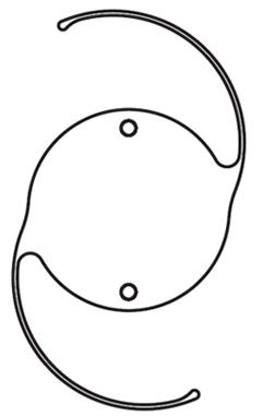 Posterior Chamber Lenses