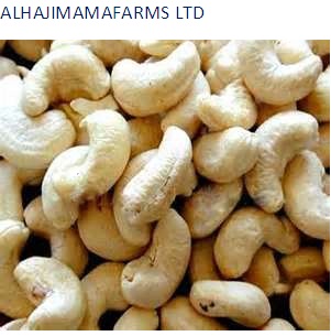 Cashew nuts for Snacking, Baking