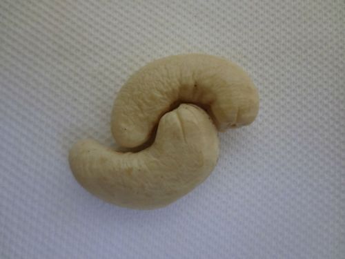 CASHEW NUT KERNEL, Brand Name : Rahim