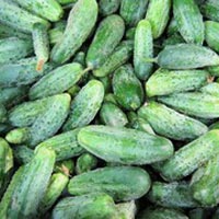 Fresh vegetables, Purity : 99%