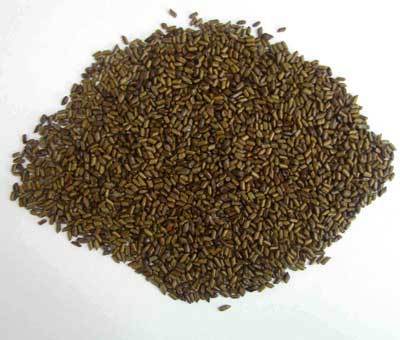 Organic Puwar Seeds, For Medicinal, Style : Dried