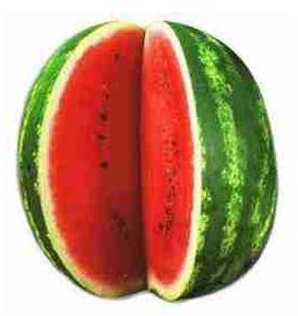 Fresh watermelon, Quality Available : A Grade