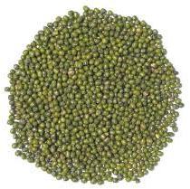 Moong Beans, Form : Whole, Packaging Type : PP Bag