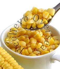 Yellow maize, Seed Type : Hybrid