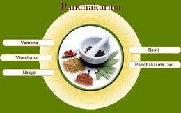 Panchakarma Treatment Services