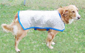 COOL DOG COAT