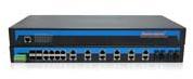 Industrial Ethernet Switch