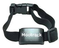 Mootek PET GPS Tracker, For Yes, Screen Size : 18.5