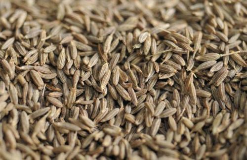 Cumin seeds Form :Solid