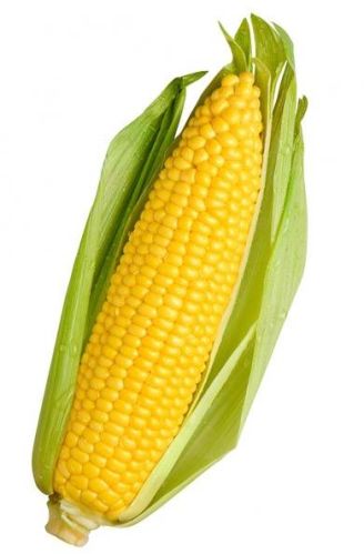 Yellow Corn