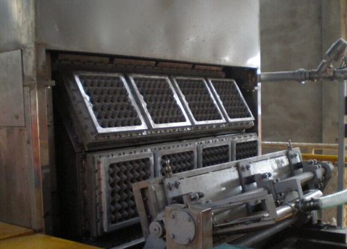 Rotary Egg Tray Production Line