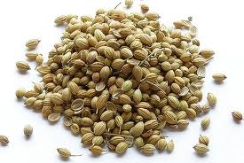 ACN Coriander Seed, Color : Green