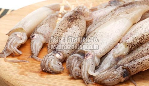 Frozen Squid Fish, Certification : FSSAI Certified