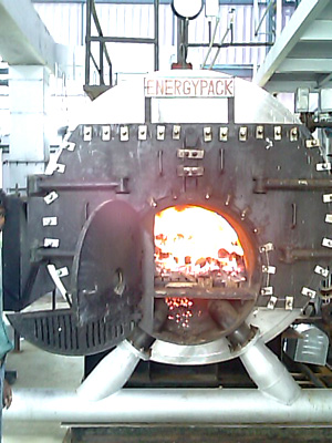 IBR Coal Fired Steam Boiler