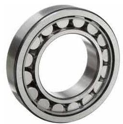Cylindrical Roller Bearings, Outer Diameter : 380 mm