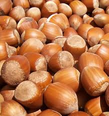 Hazelnut