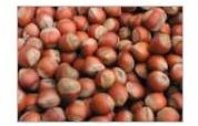 Hazelnuts