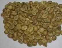 Robusta coffee beans, Packaging Type : Plastic Bag