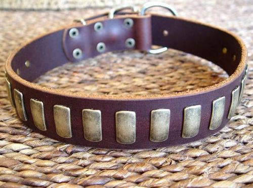 Leather Dog Collars